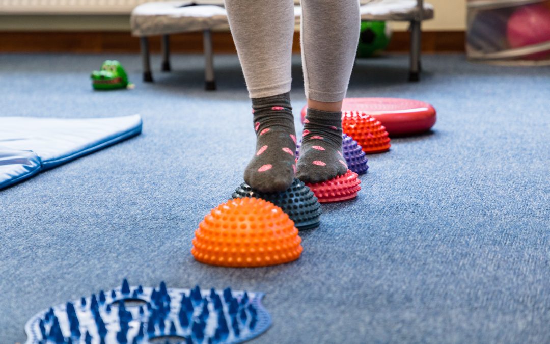 Sensory Circuits: A Vignette