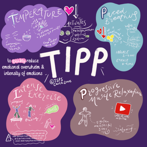 Tip Method Therapy Understanding TIPP: Tools to Ease Anxiety - The School Psychology Service